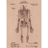 Vintage Patent Sketch Style Anatomical Skeleton - Unframed